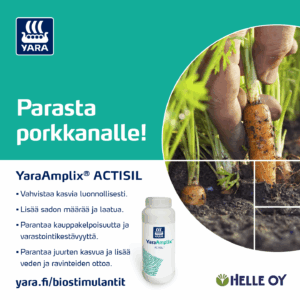 YaraAmplix_Actisil_porkkana